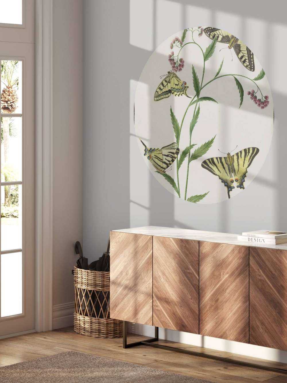 Quattro farfalle sui fiori, Paulus Knogh