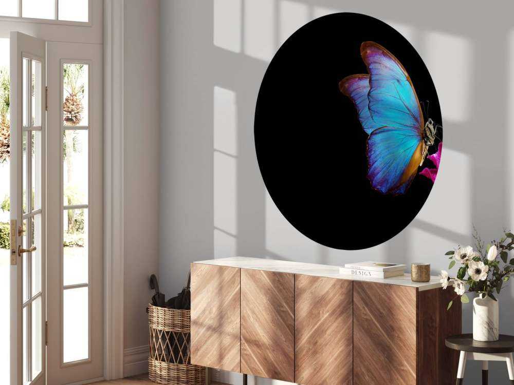 Farfalla su tulipano