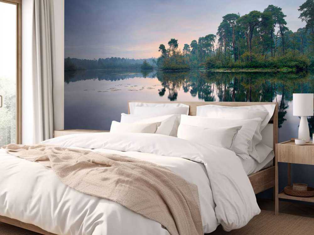 Riflessione nelle foreste all'alba