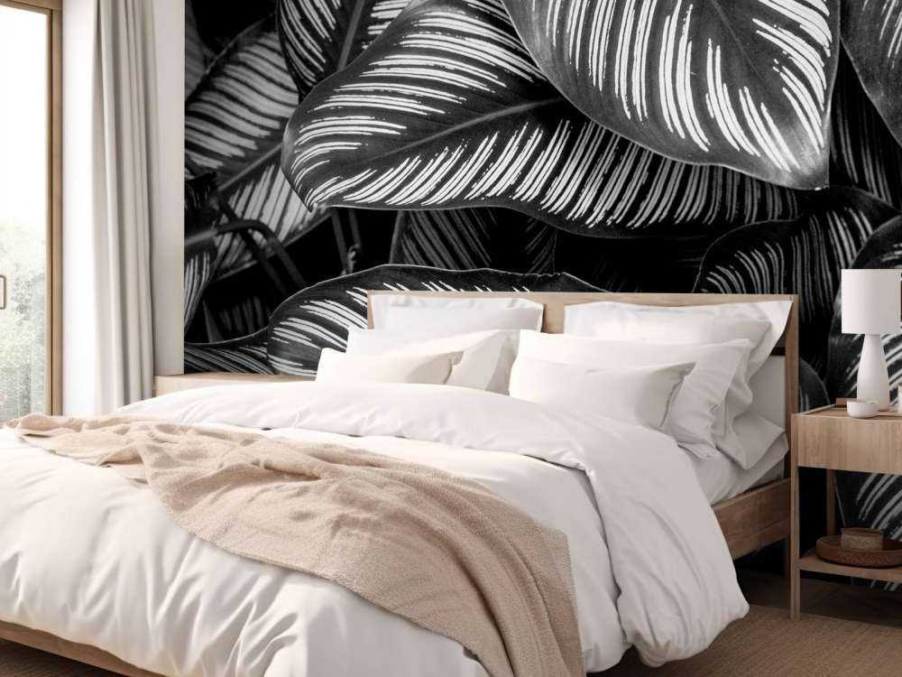 Foglie di palma bianche e nere