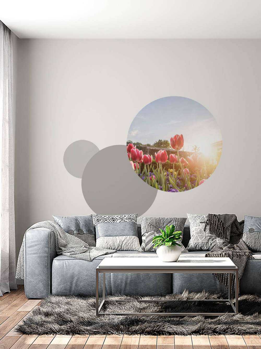 Fiori alla luce del sole