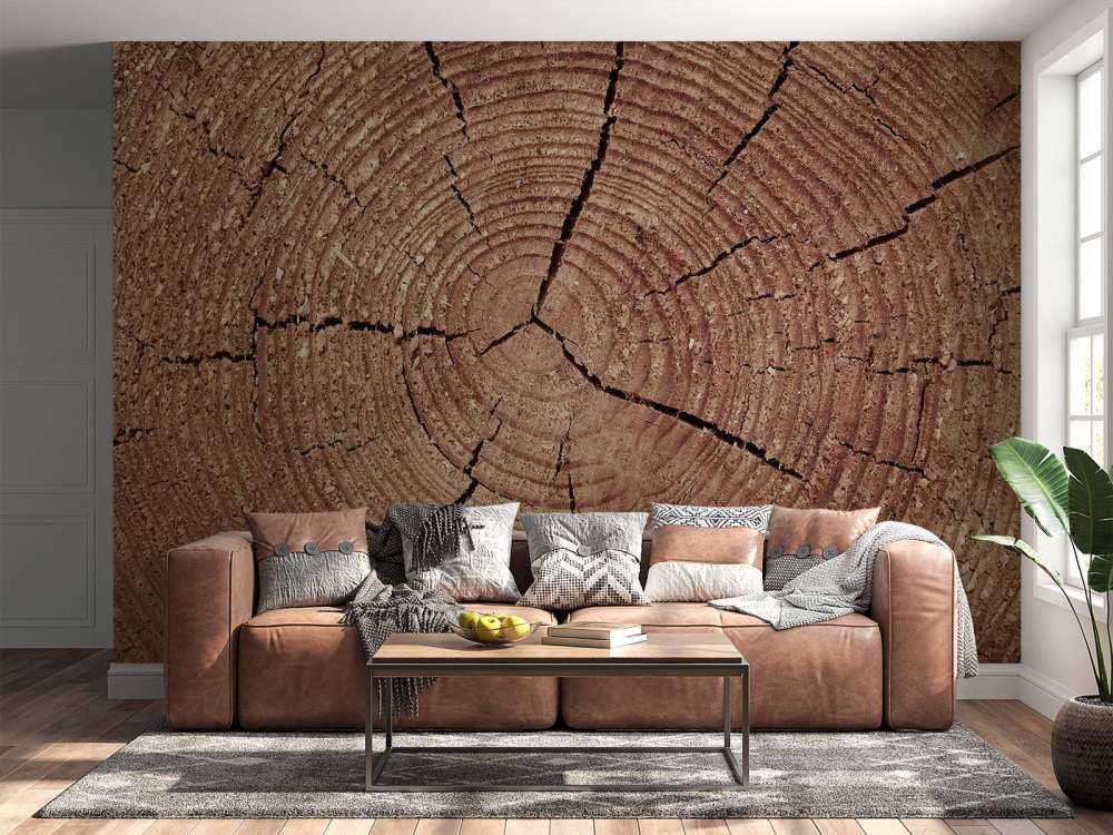 Tronco con anelli annuali