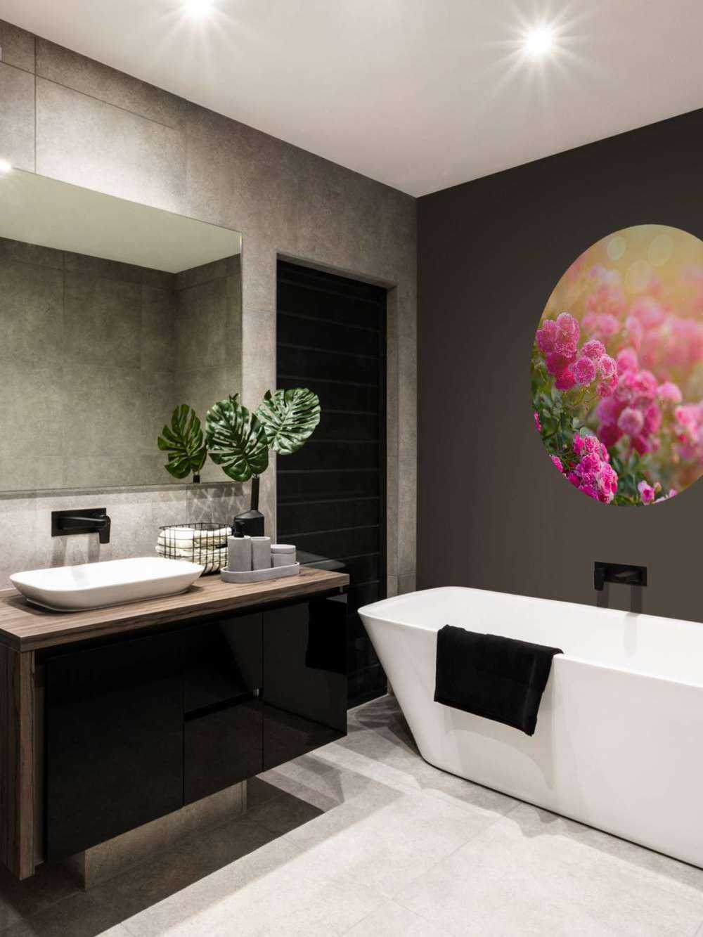 Cespugli di rose rosa