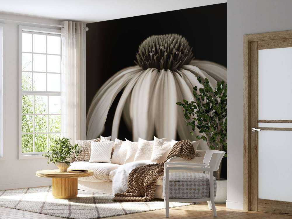 Primo piano del fiore a cono