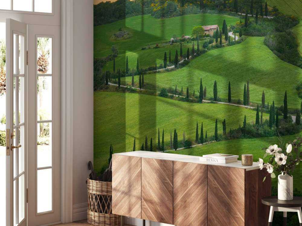 Strada tortuosa con cipressi