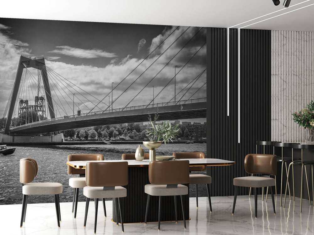 Passaggio del ponte Principe Willem Alexander a Rotterdam in bianco e nero