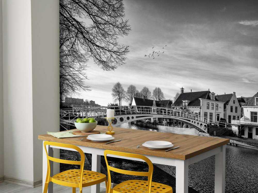 Città fortificata Dokkum Ponte sul Klein Diep Frisia 