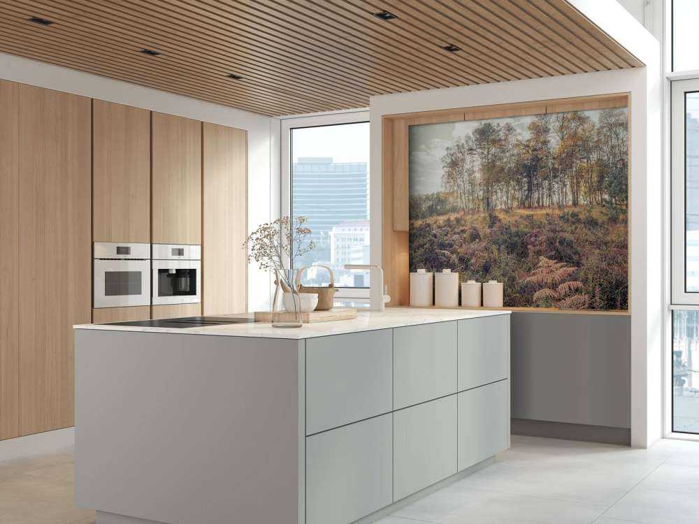 La foresta durante la mattina