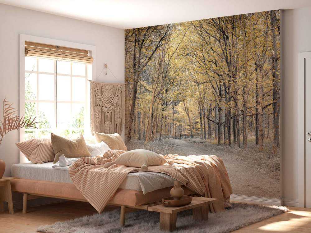 Strada forestale in autunno