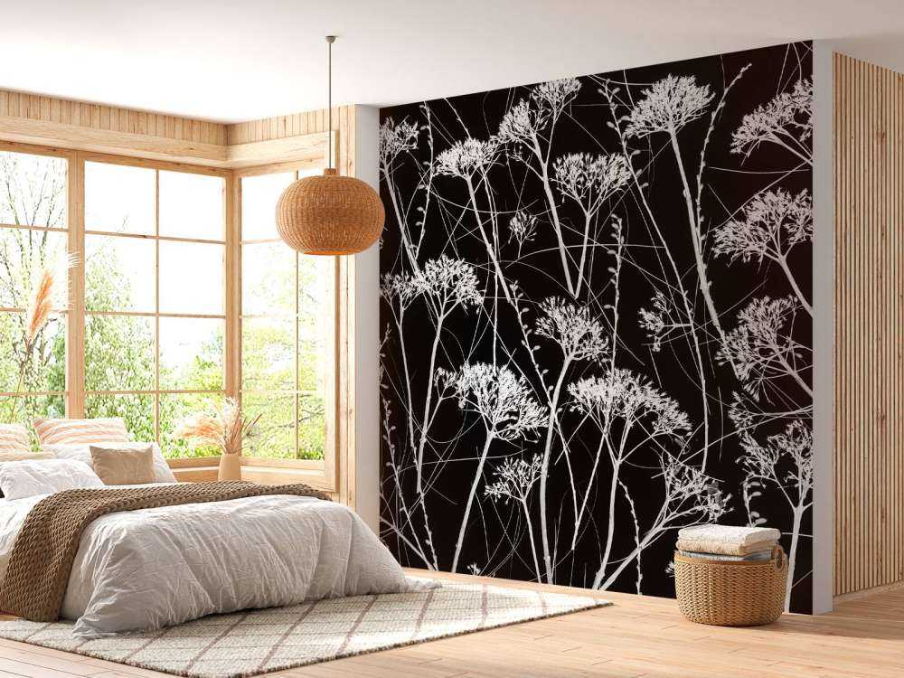 Silhouette di piante secche