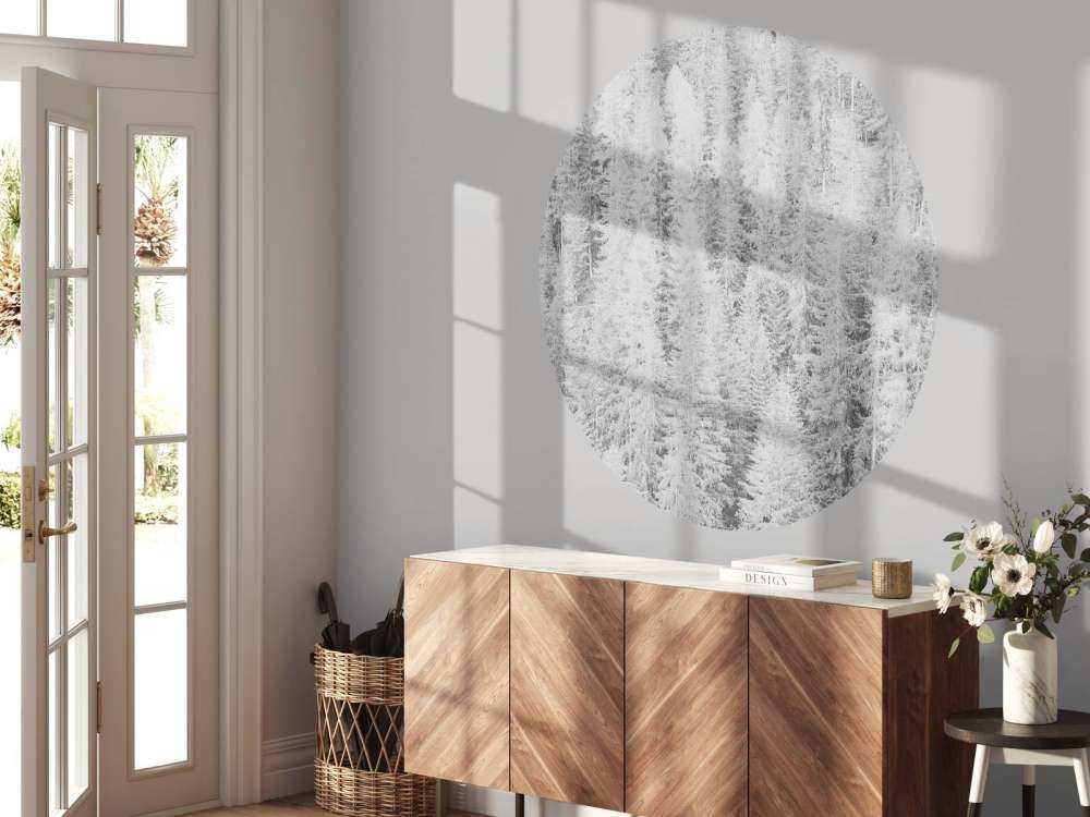 Conifere in bianco e nero