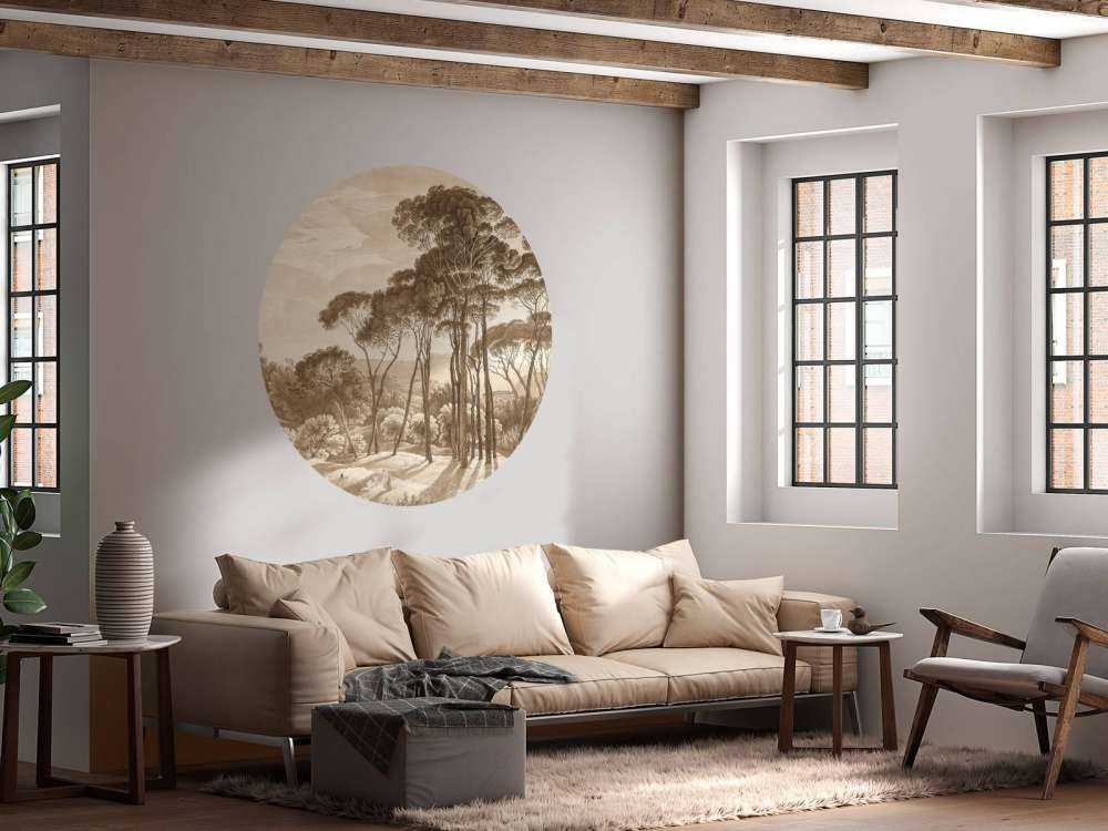 Paesaggio forestale vicino a Roma con il sole al tramonto