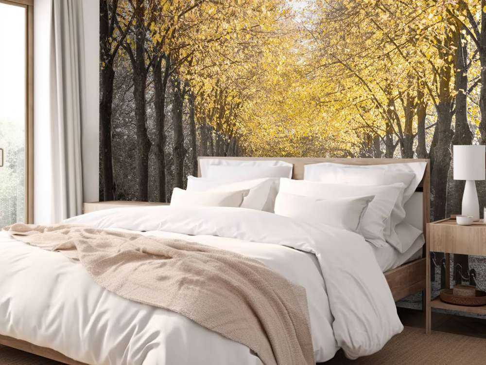 Sentiero tra gli alberi