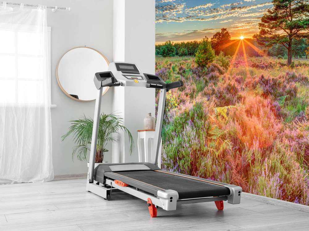 Tramonto in campagna