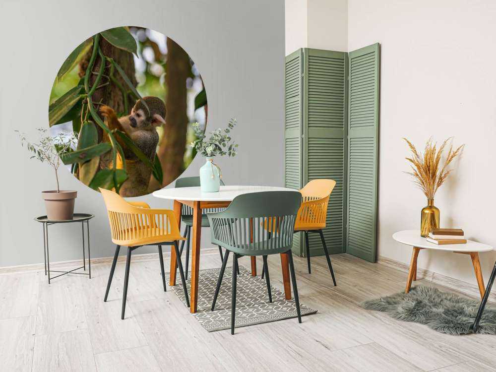 Piccola scimmia tra gli alberi