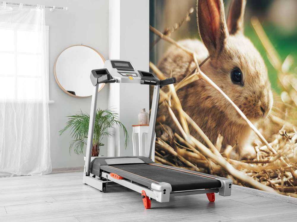 Coniglio nella paglia