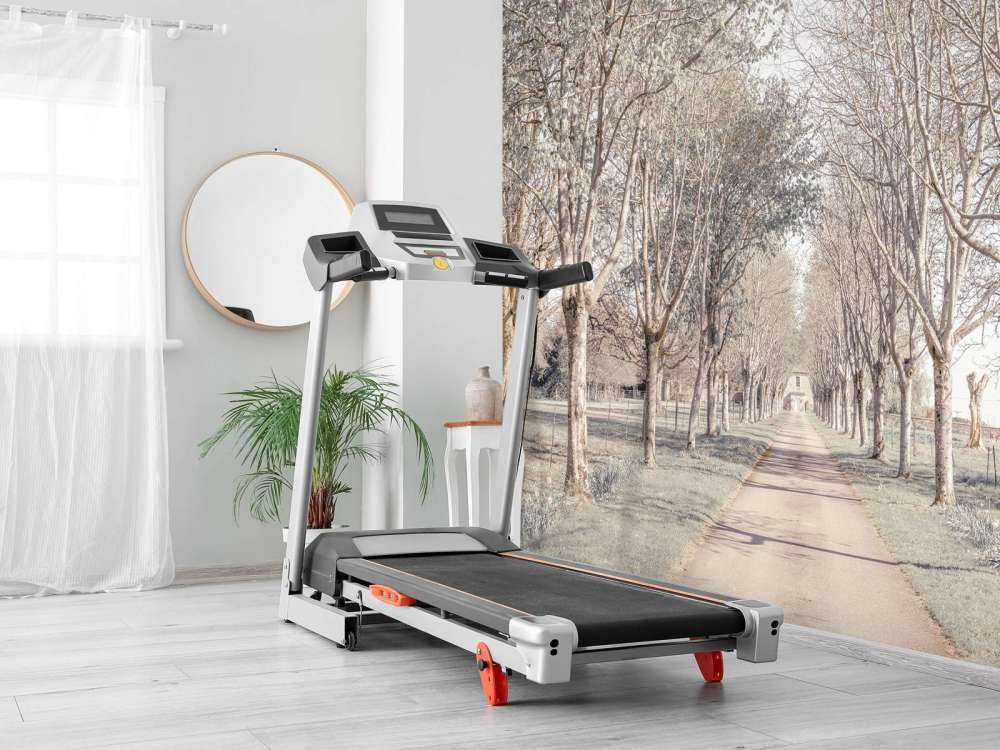 Sentiero tra gli alberi