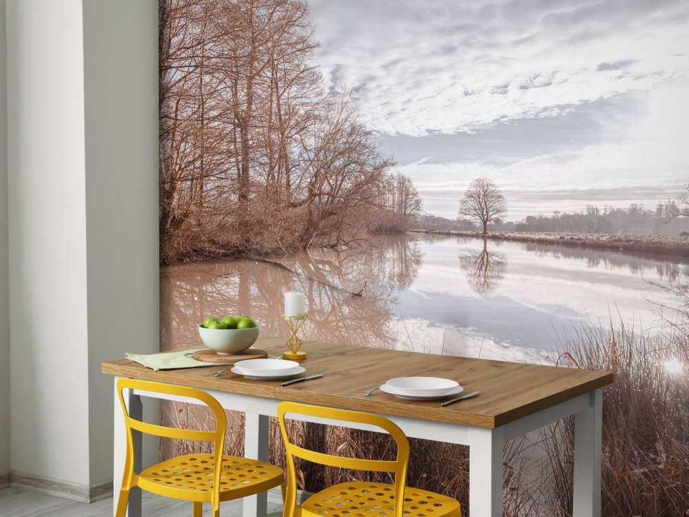 Stagno nella foresta