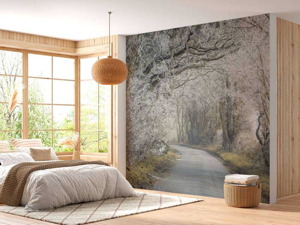 Strada ghiacciata attraverso la foresta