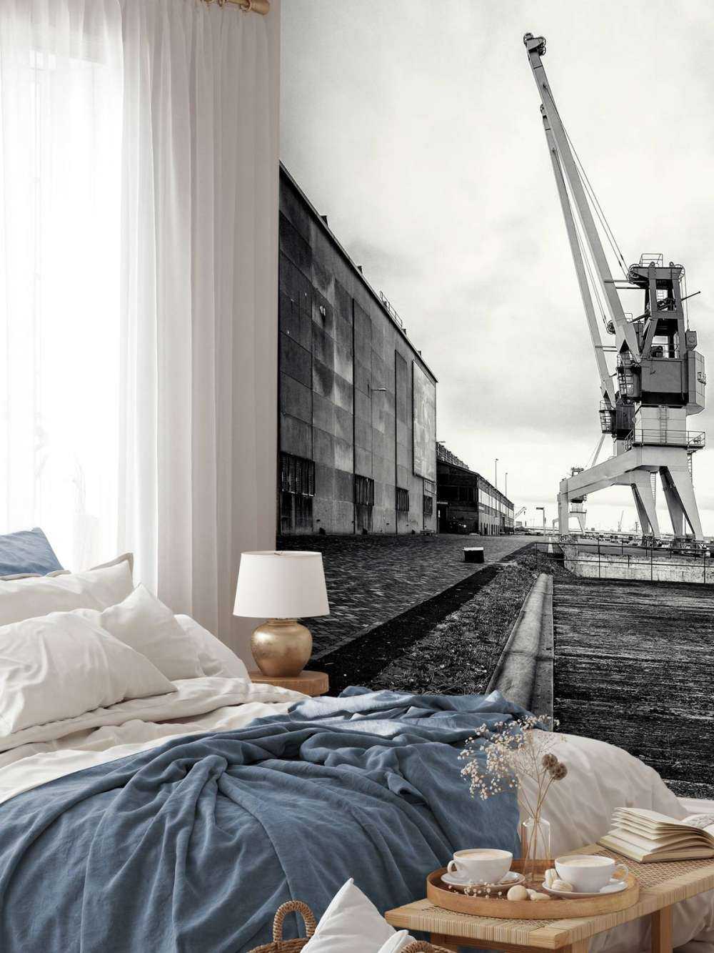 Gru portuale nell'ex sito RDM di Heijplaat Rotterdam 