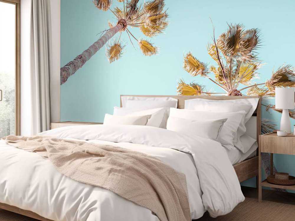 Palme e cielo azzurro