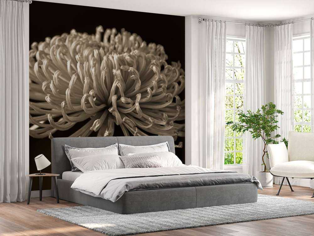 Grande fiore di cosmo