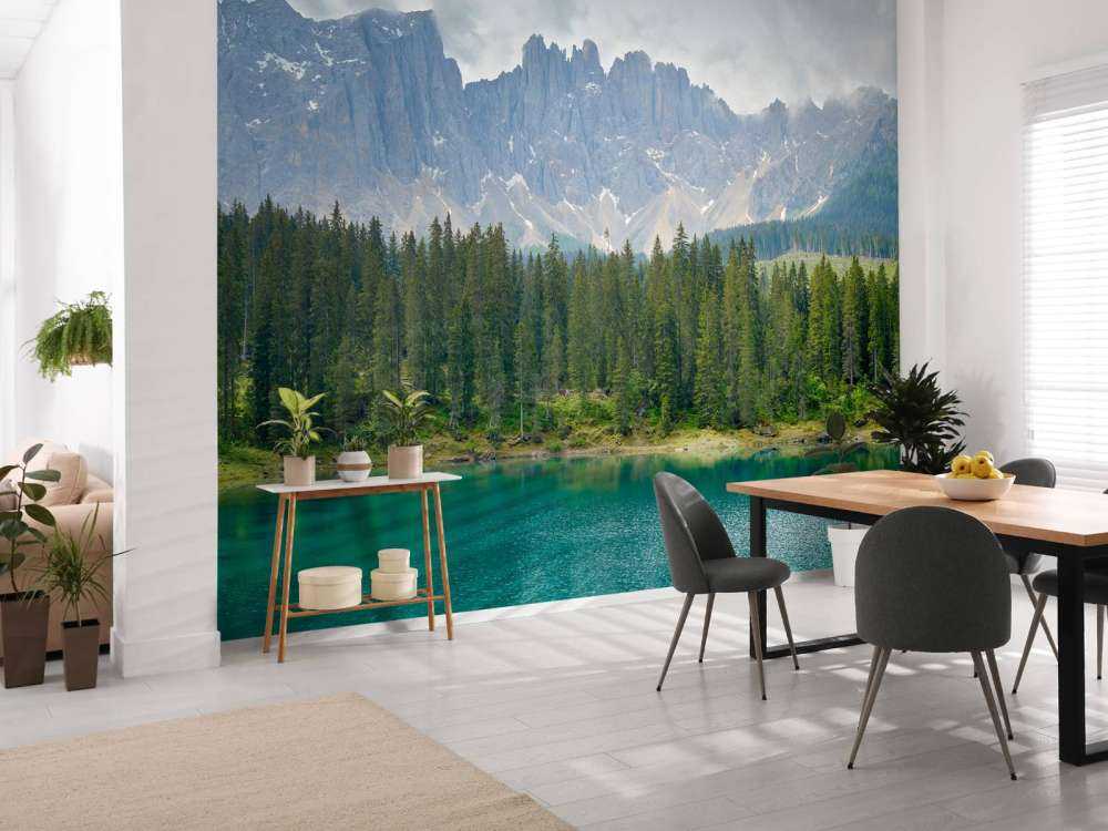 Filare di alberi vicino a un lago di montagna