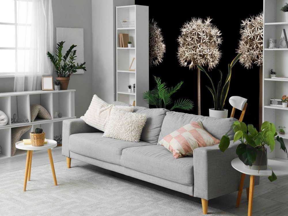 Tre fiori di allium in fila