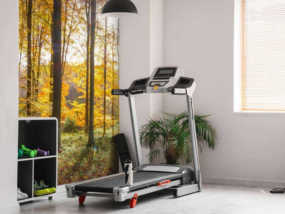 Giornata di sole autunnale