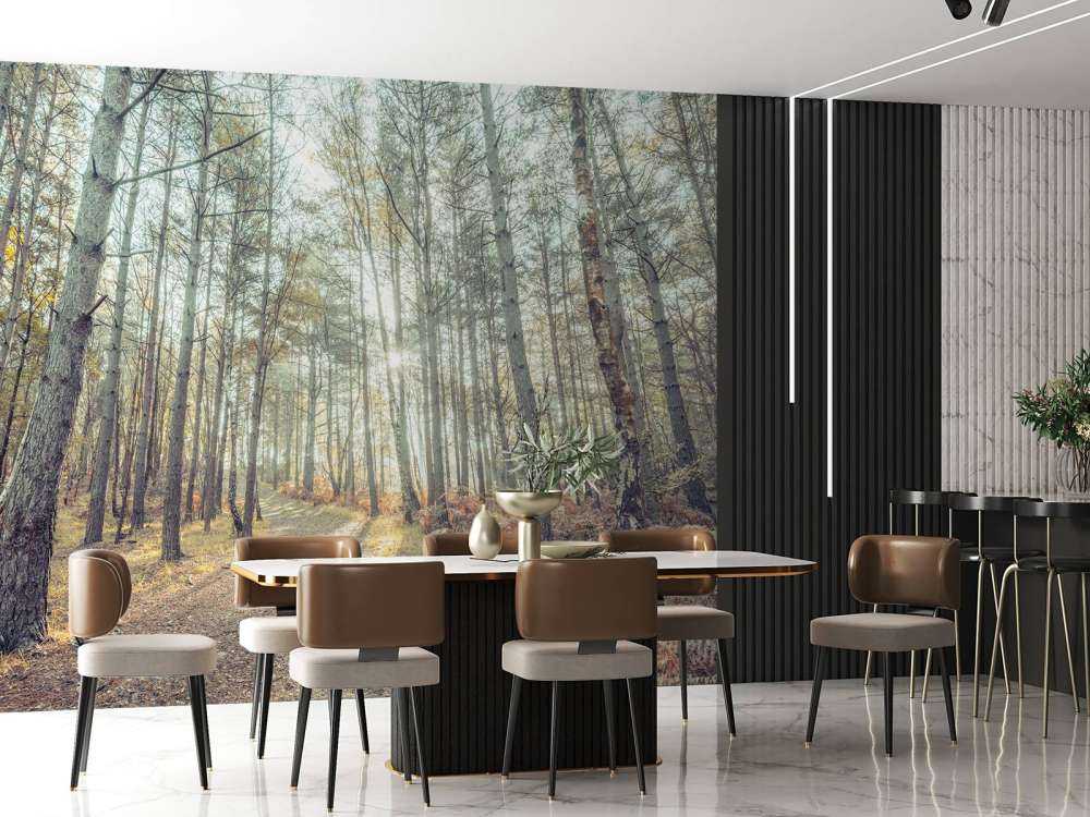 Sentiero attraverso il bosco soleggiato