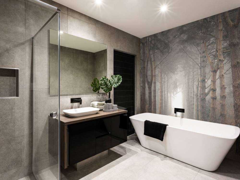 Foresta nella nebbia