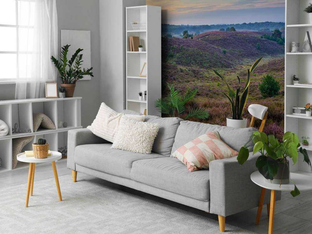 Colline della brughiera