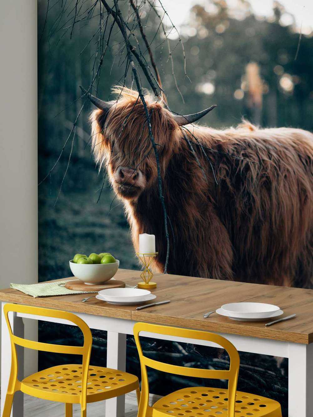 Highlander scozzese ai margini del bosco