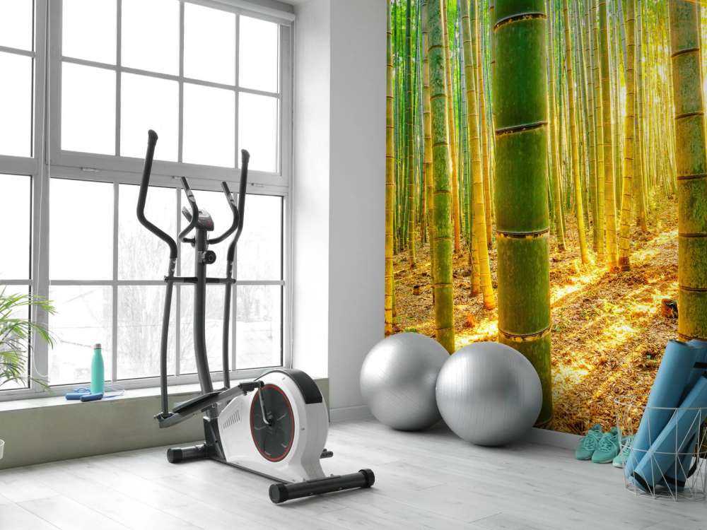 Foresta di bambù all'alba