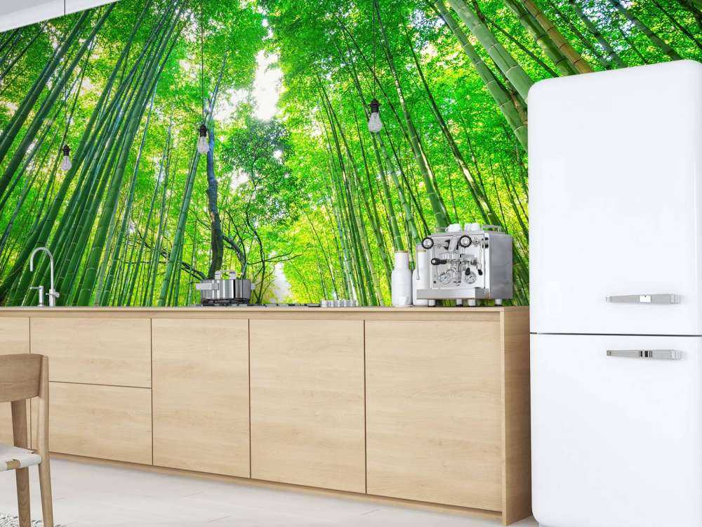 Foresta di bambù di Arashiyama