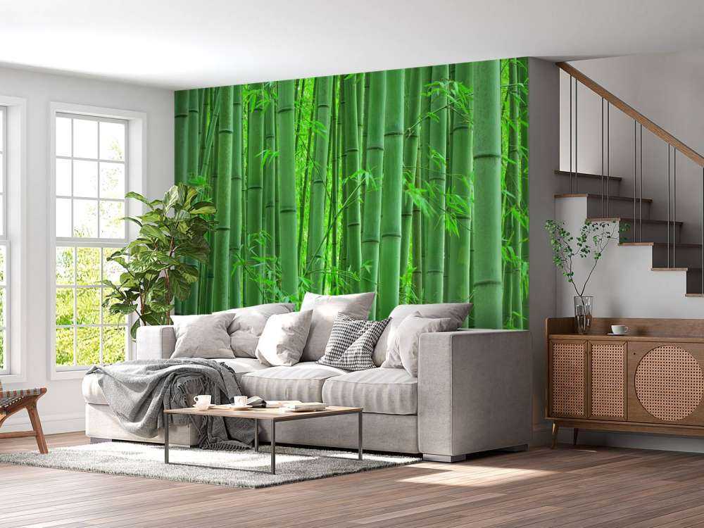 Closeup foresta di bambù