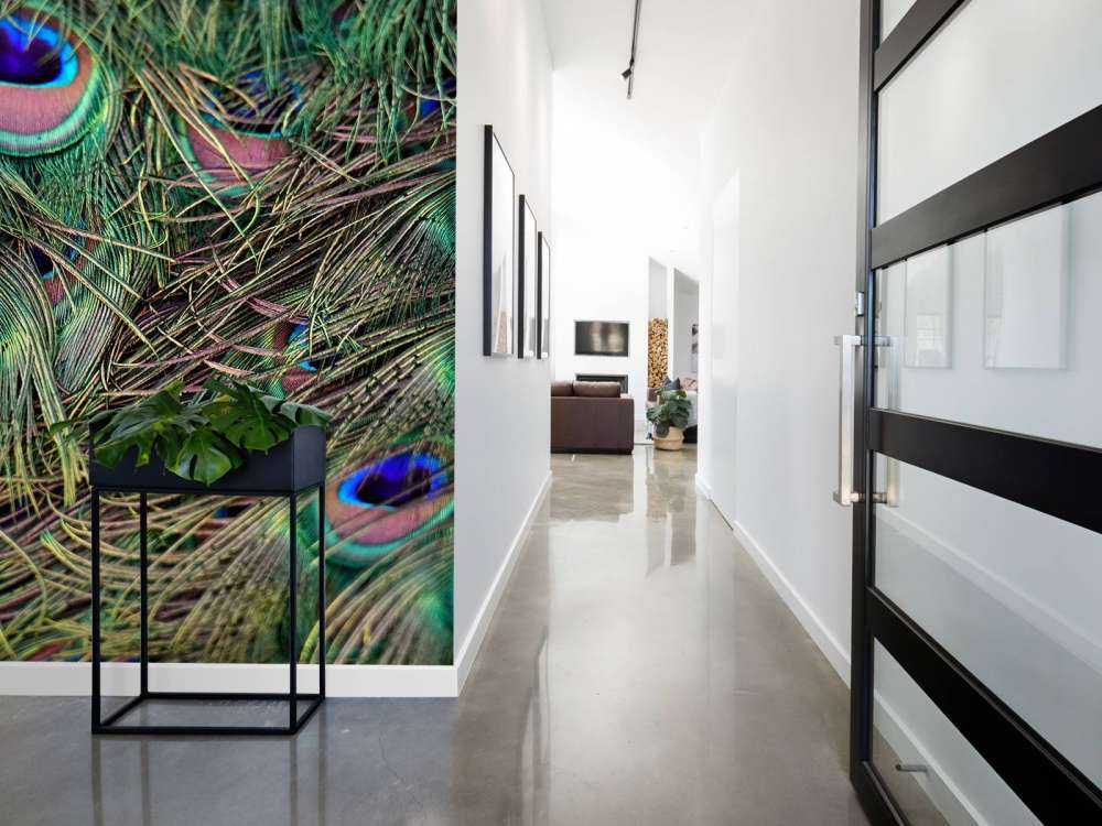 Primo piano di piume pavone