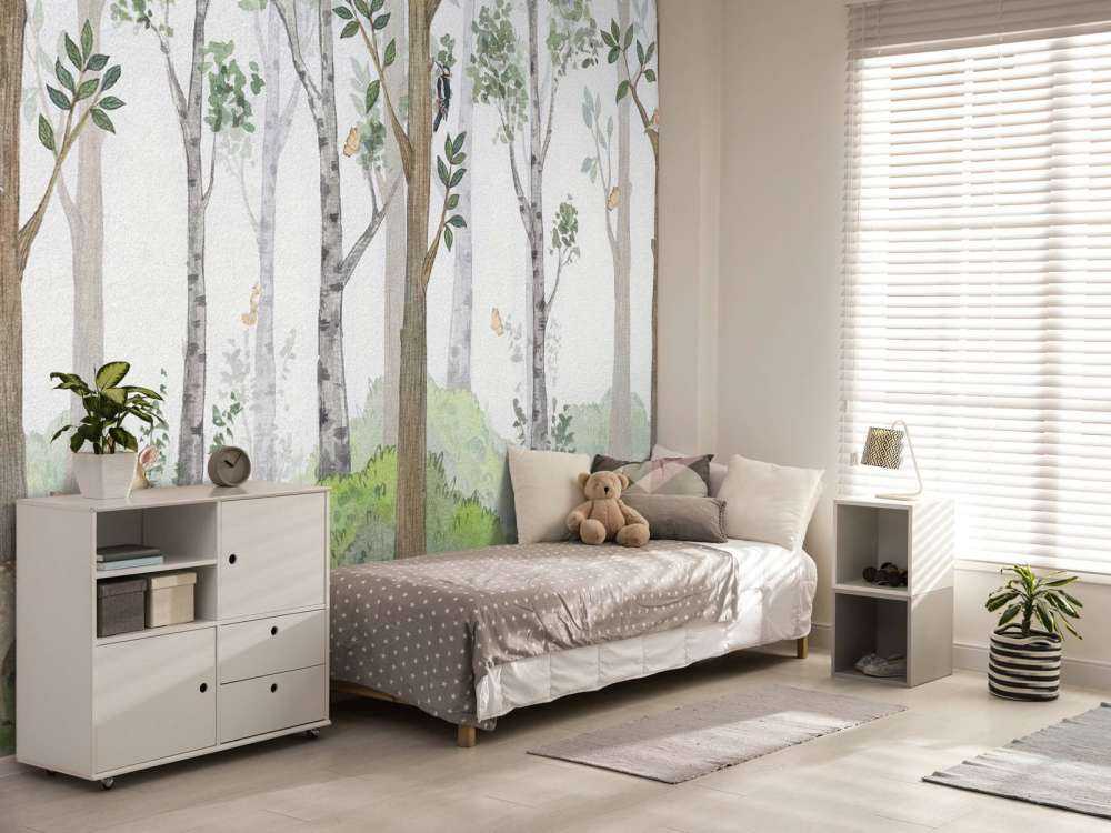 Animali nella natura