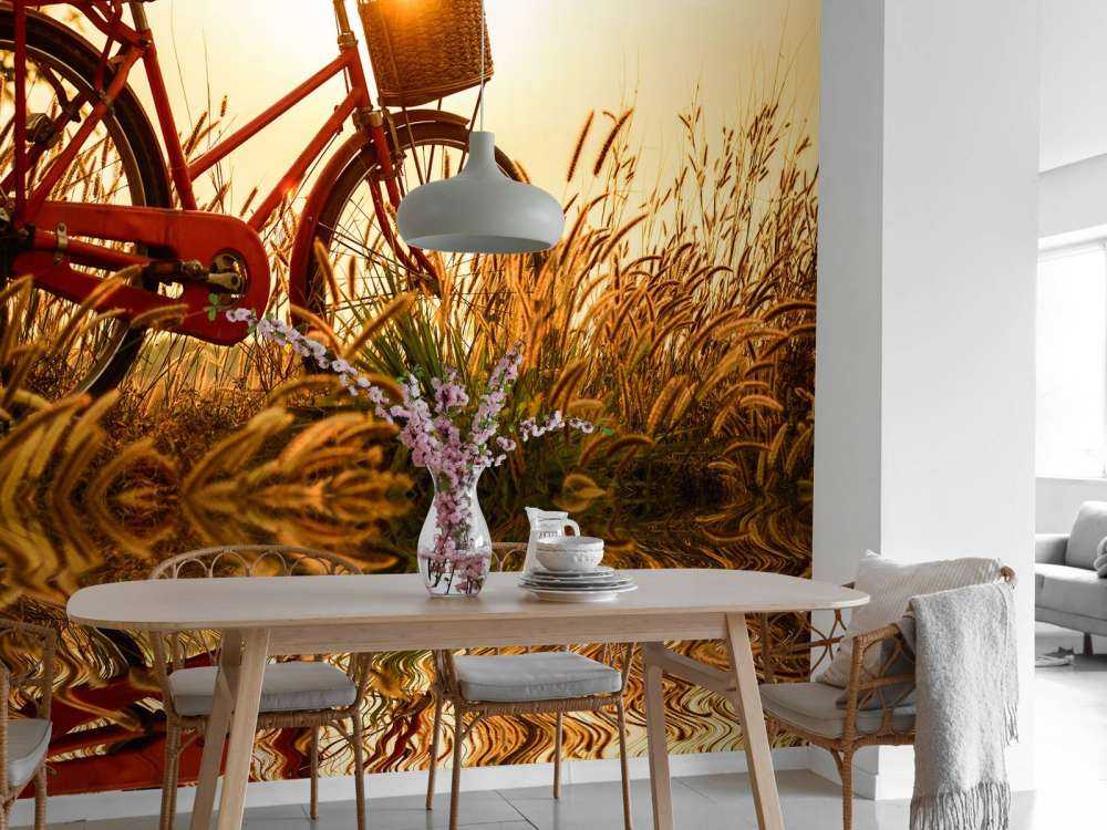 Bicicletta al tramonto