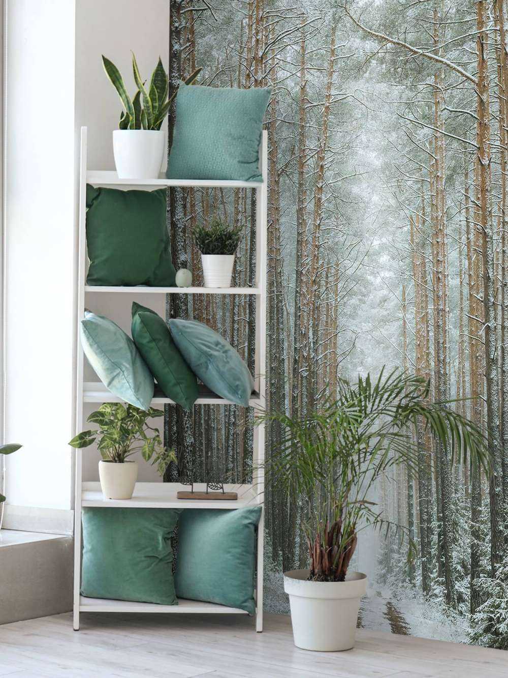 The winter forest road