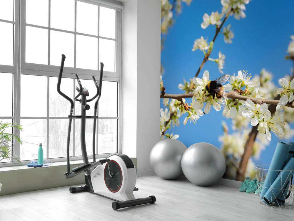 Bombo con fiori bianchi