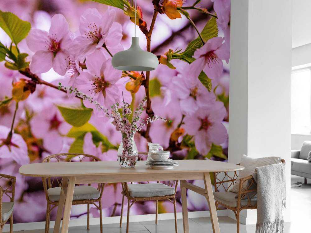 Fiori rosa con petali