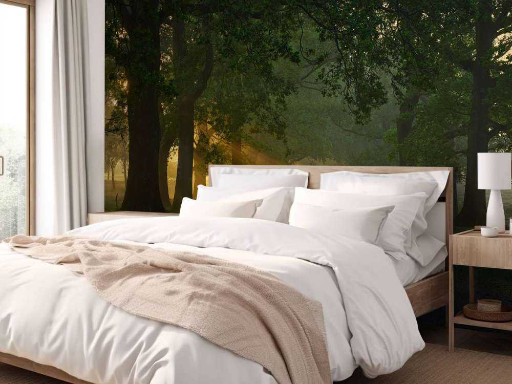 Sentiero senza fine con alberi