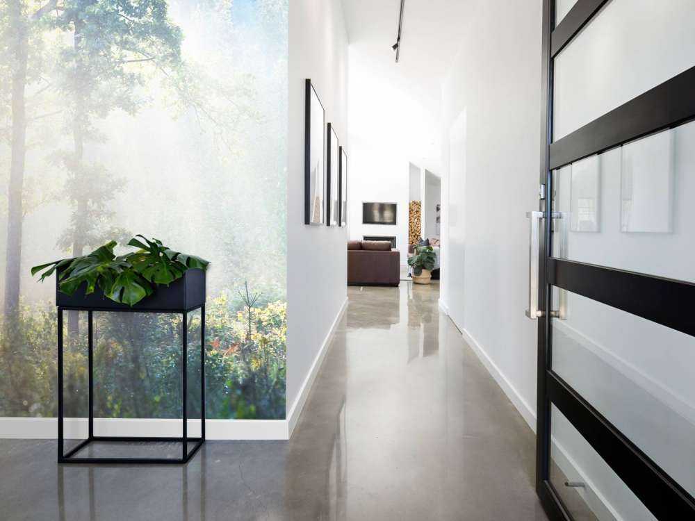 Una foresta misteriosa