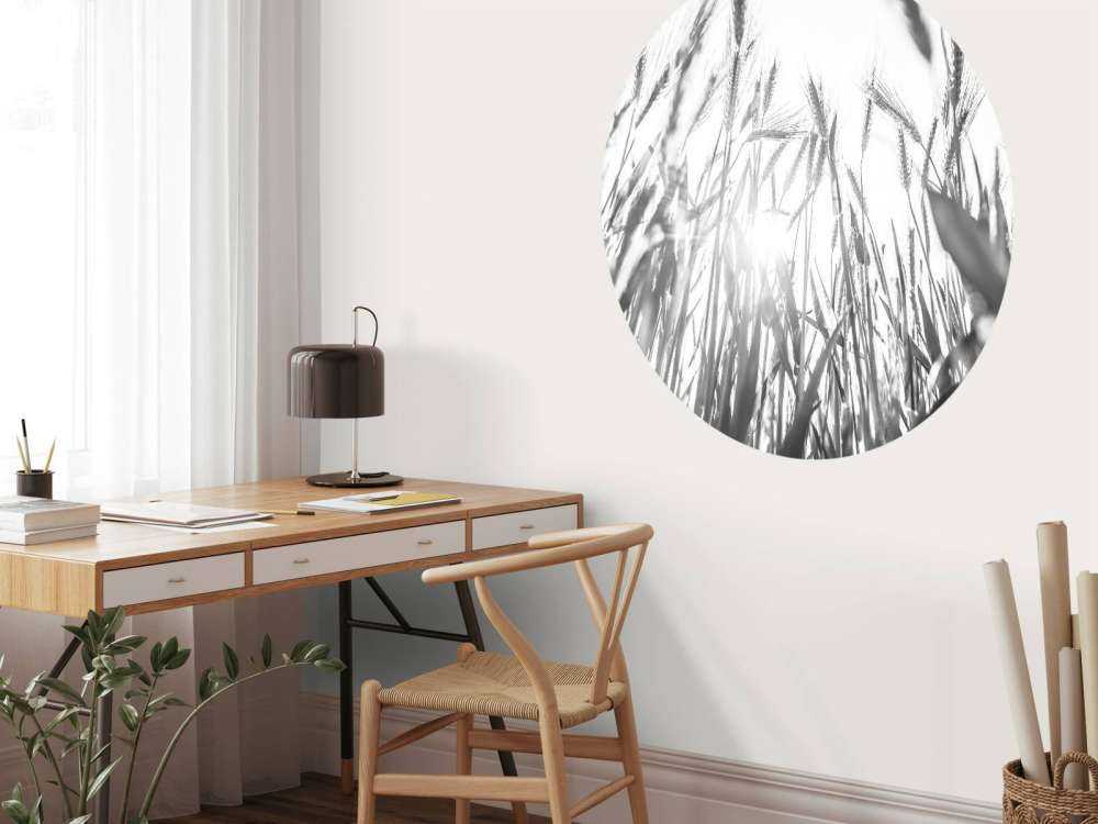 Campo di grano soleggiato