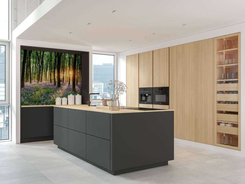 Sentiero della foresta all'alba