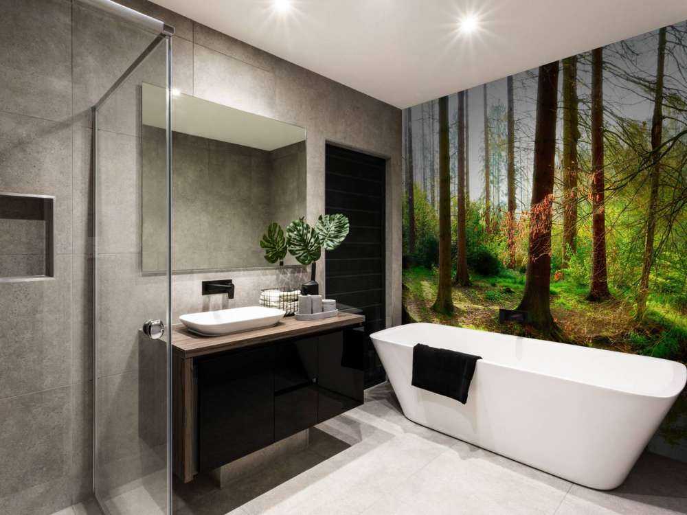 Foresta autunnale con luce solare brillante