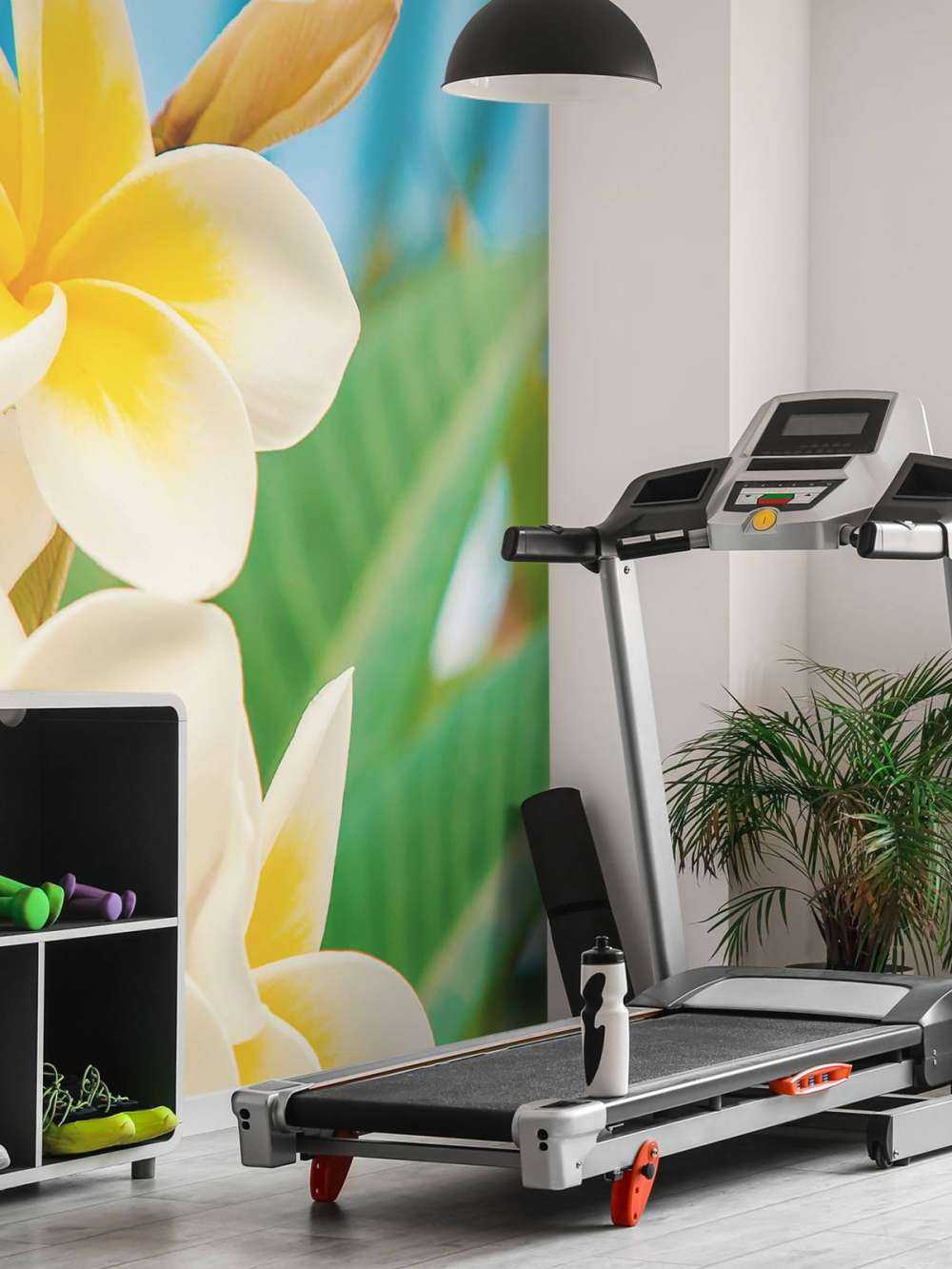 Fiore di plumeria bianco e giallo