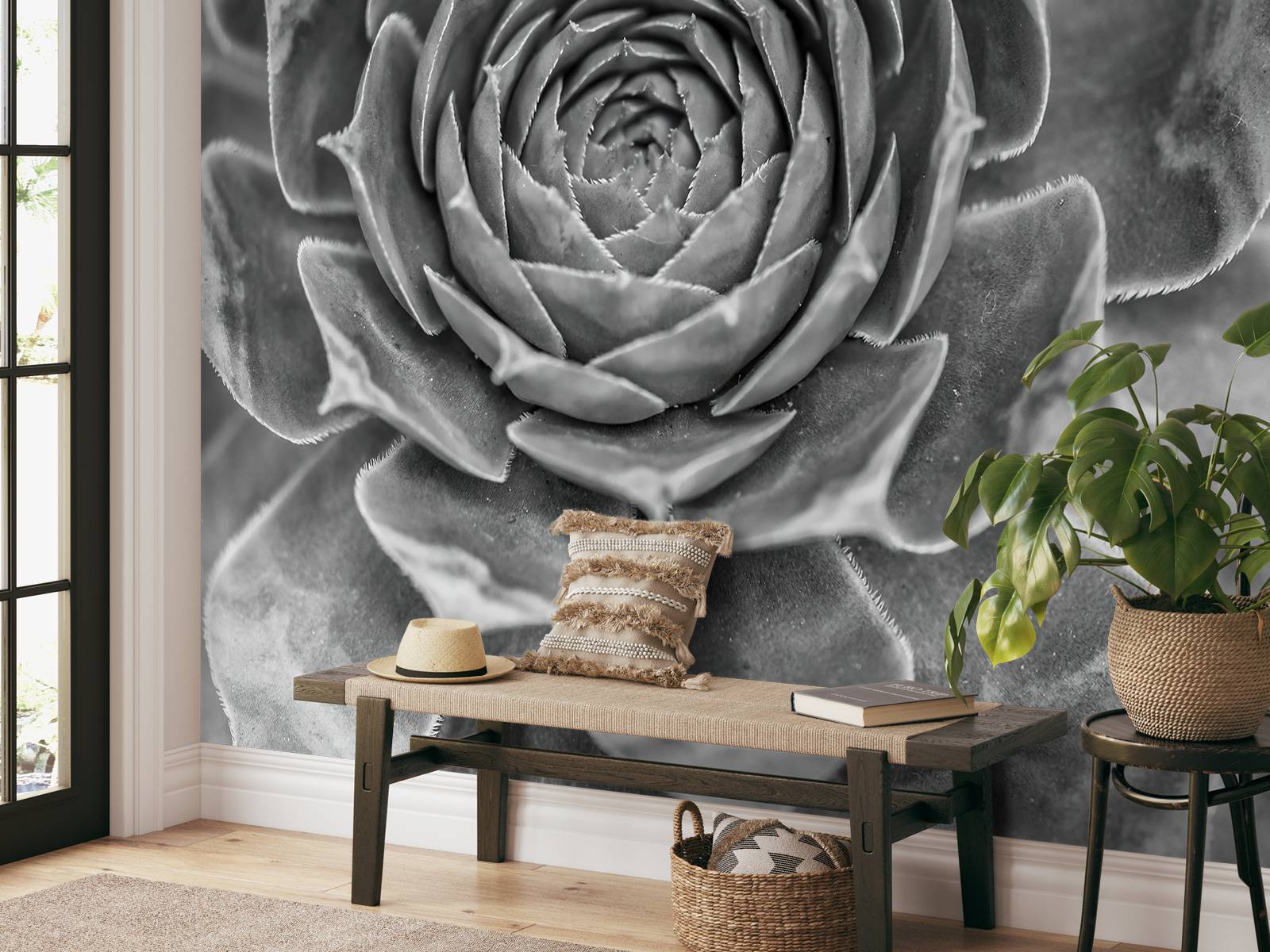 Succulento primo piano, image size:1600x1200