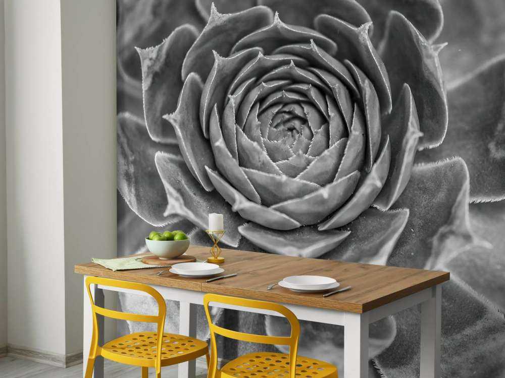 Succulento primo piano